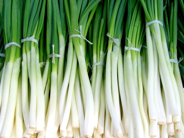 Green Onion (bag)