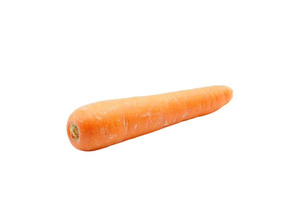 Jumbo Carrot