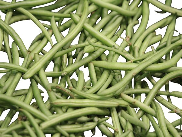 Green Bean(cs)