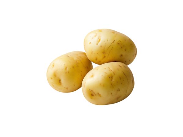 Potato