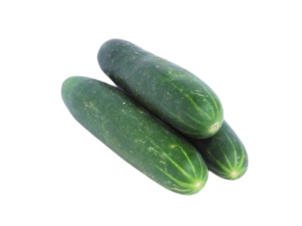 Cucumber
