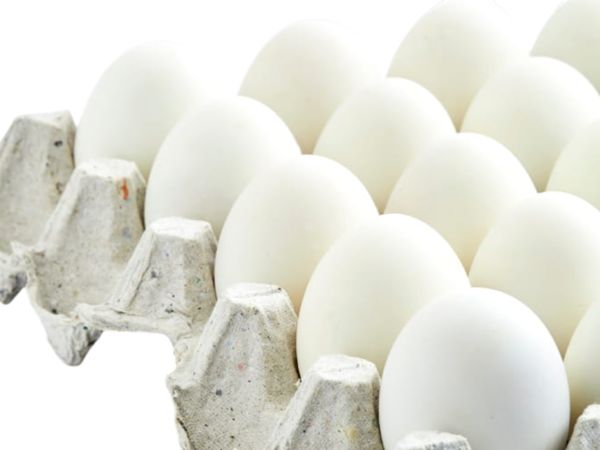 (XL)Egg(30dz/box)