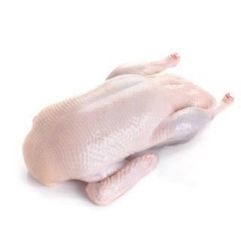 Frozen Duckling 5.5lb/unit