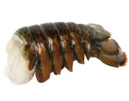 5/6(10lb)Lobster Tail(CW)