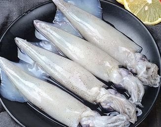 California Squid Calamari - 36LB/cs