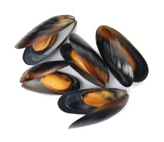 (M)Half Mussel IQF(24lb/cs)-New Zealand