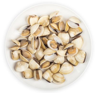 11/20(20lb)Clams