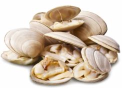 17/22 White Clam 20LB