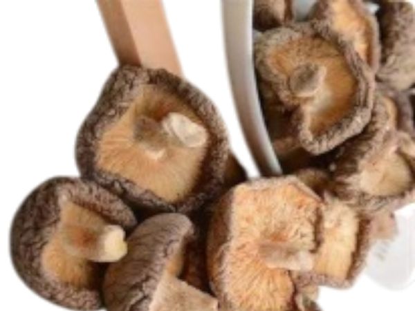 Dried Mushrooms 6x5lb/cs